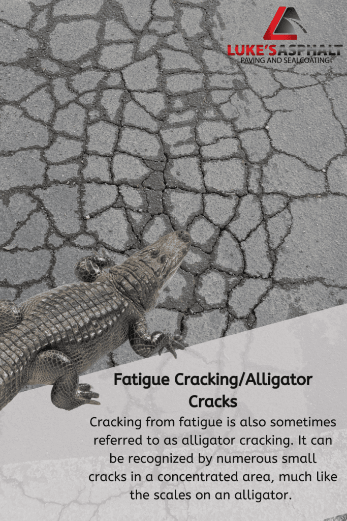 alligator Cracking